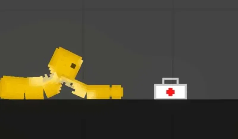 Medkit 1 Fruit Playground Mods