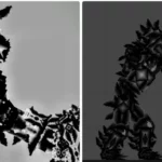 Oblivion Fruit Playground Mods